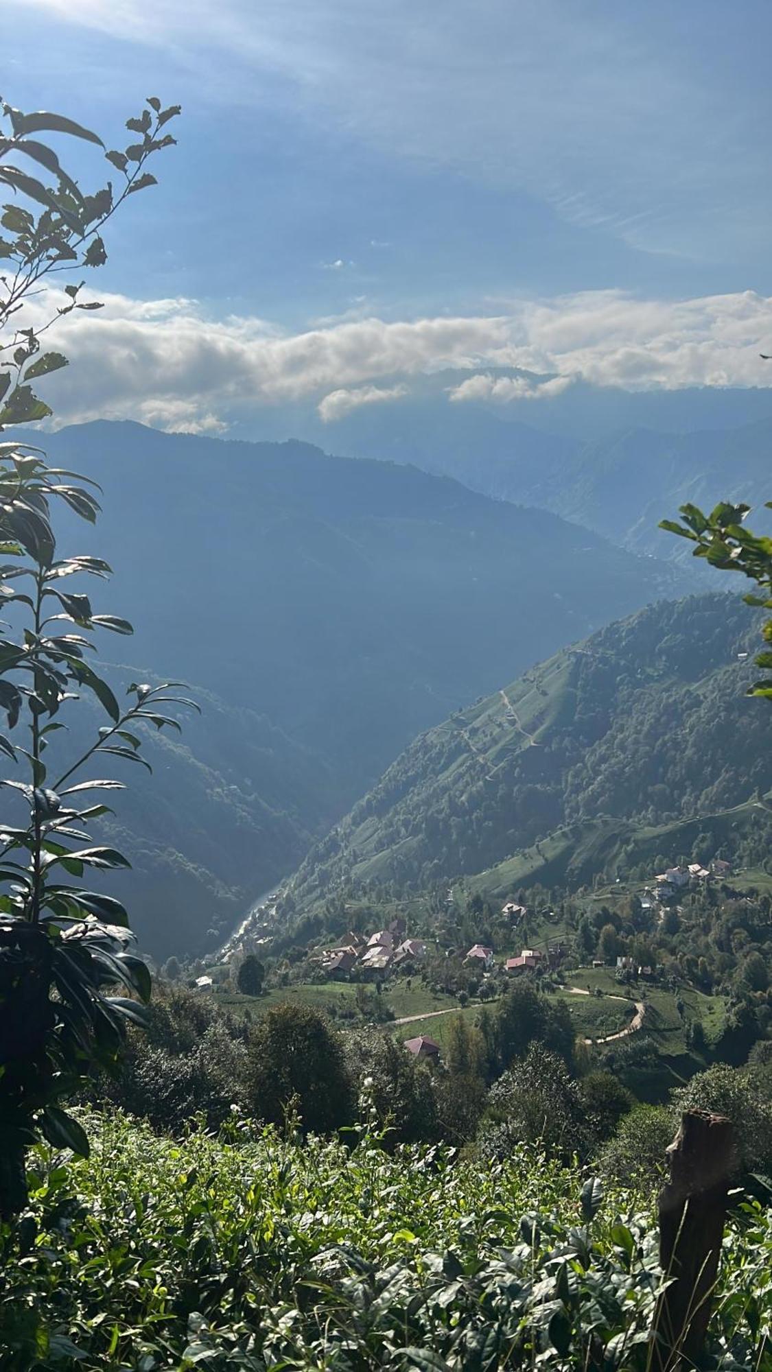 Pera Bungalov Ardeşen Exterior foto