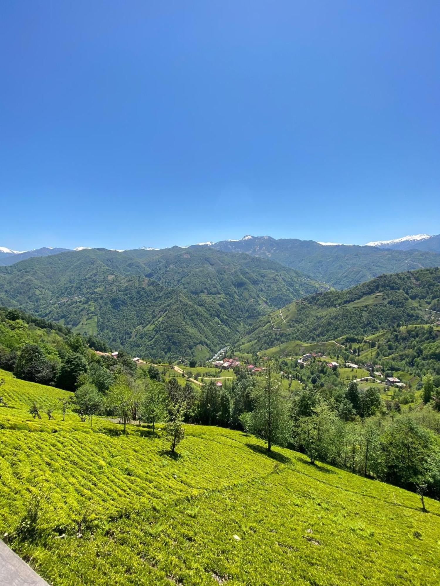 Pera Bungalov Ardeşen Exterior foto